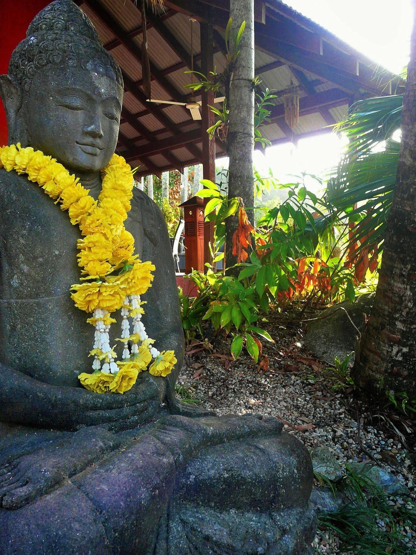 Mai Tai Resort Cassowary Luaran gambar